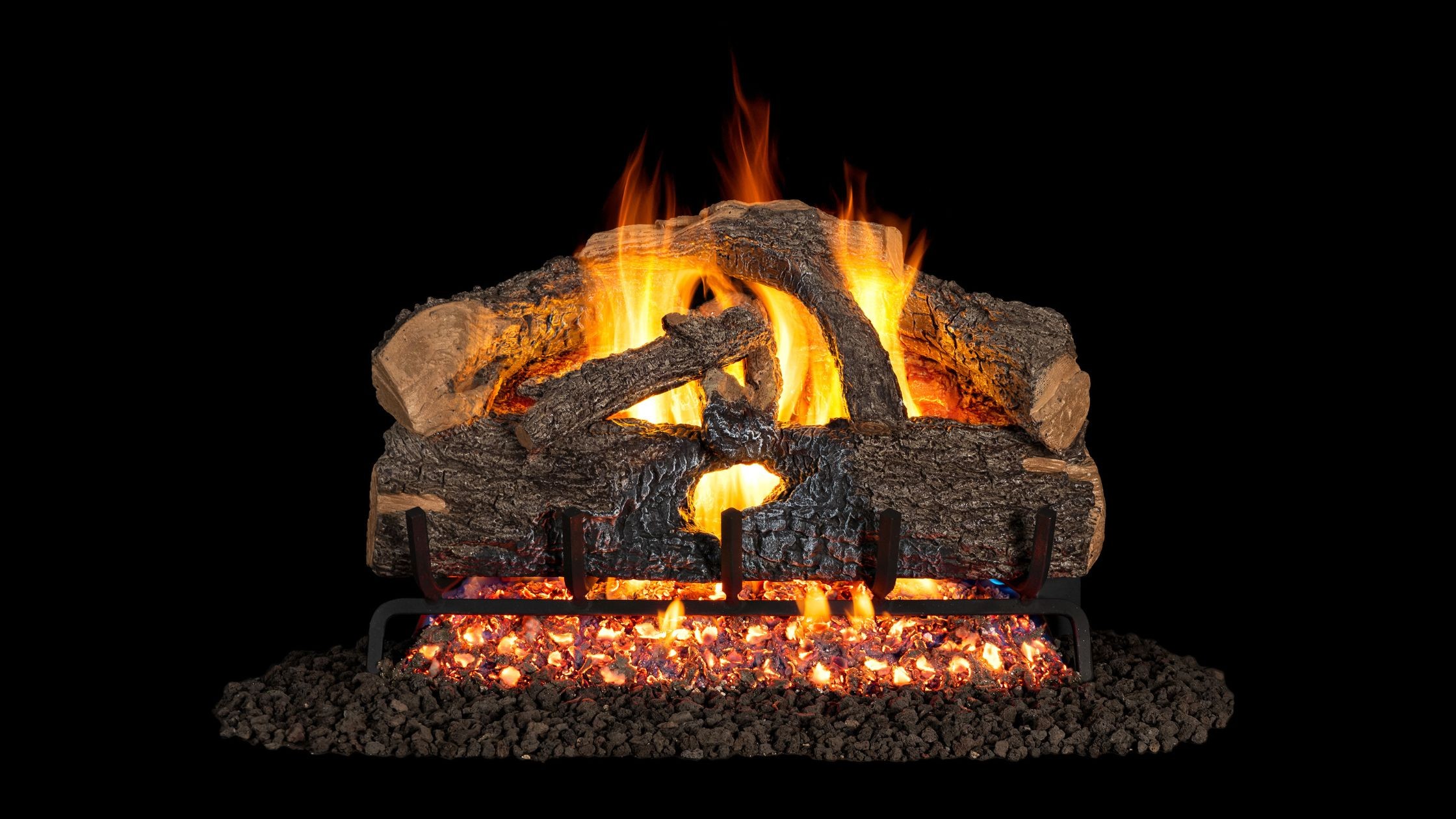 Charred Evergreen Oak - ENO / G52-24